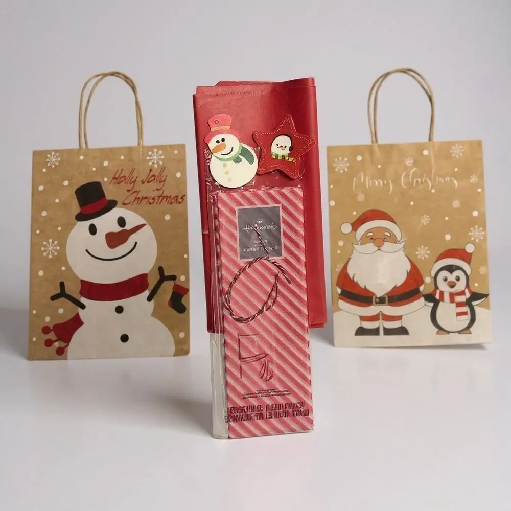 W4. Festive Holiday Gift Bag Set